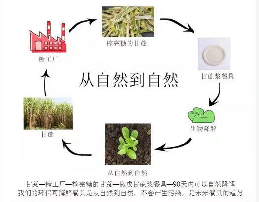 環(huán)保紙漿餐具多長時間可以完全降解？